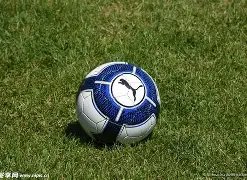 曾称都美竹,姐姐却遭遇,打脸,巅峰国际会员登录入口,巅峰国际官网,巅峰国际