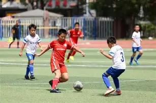揭秘球场风,卢克曼离场,争议瞬间,巅峰国际会员登录入口,巅峰国际官网,巅峰国际