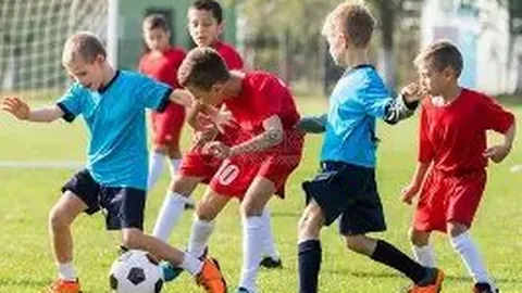 巅峰国际 产品 093923 a1s