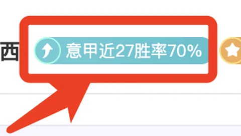 塔奇纳迪力挺孔蒂接任尤文主帅，皮耶罗与基耶利尼搭档出任正副主席